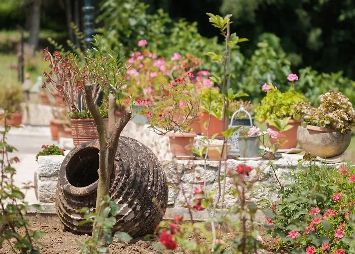 Apartamento Piniata *